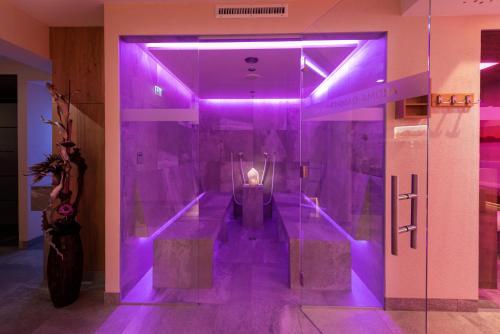Hotel Alp-larain
