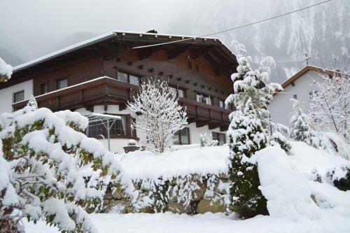 Hostal G�stehaus Falkner Dorli