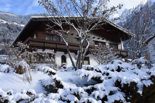 Hostal G�stehaus Falkner Dorli