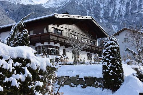 Hostal G�stehaus Falkner Dorli