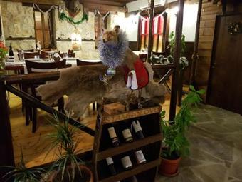 Hostal Family Hotel The Hunter's Lodge