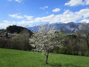 Apartments Feichtner / Tulfes / Tirol