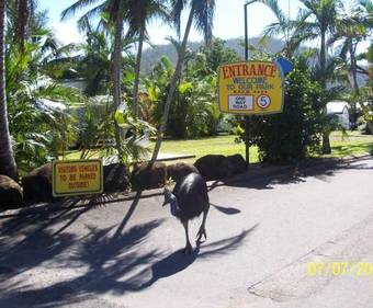 Flying Fish Point Tourist Park