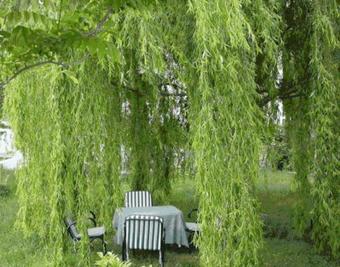 Hostal Guesthouse Kalosorisma