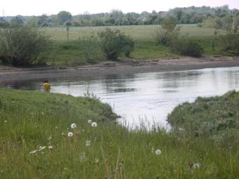 Apartamento Ferienwohnung-kribitz-hodenhagen