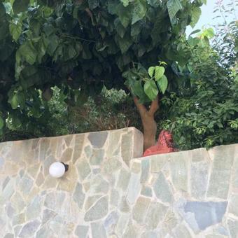 Hostal Archontika Apartments