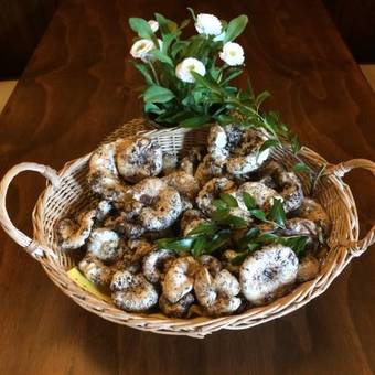 Hotel Agriturismo Fasano