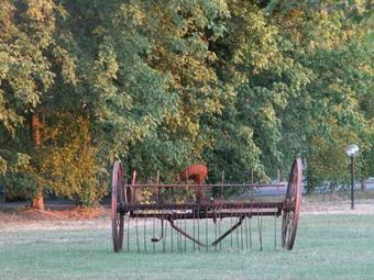 Agroturismo Santa Maria Maddalena
