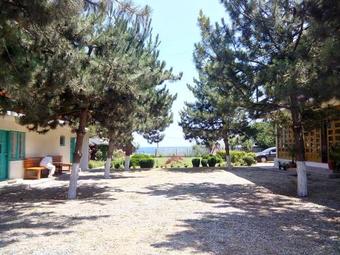 Hostal Pensiunea Sapte Pini