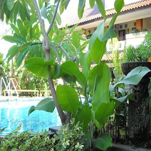 Hotel Bali Sorgawi