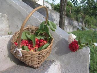 Hostal Il Casino Di Donna Maria