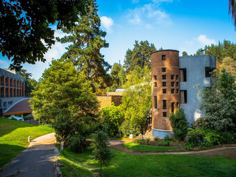 Hotel Bosques De Re�aca