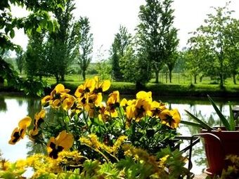 Agroturismo Agriturismo Adriano Pedretti