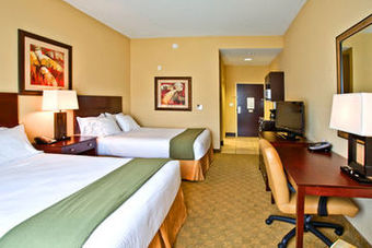 Hotel Holiday Inn Express & Suites Tampa Usf Busch Gardens
