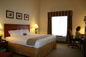 Holiday Inn Express Hotel & Suites Tampa-fairgrounds-casino