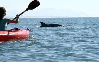 Hotel Best Western Palmareca