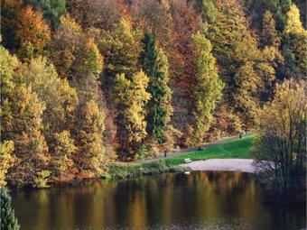 Holiday Home Kirchheim/hessen *lxxxiv *