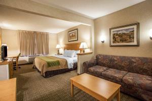 Hotel Comfort Inn - Rockford