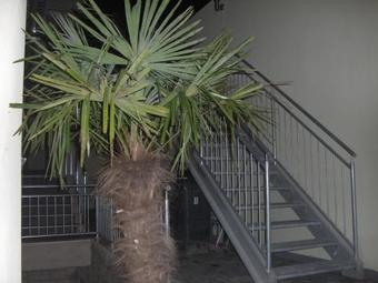 Hostal Hannover-city-pension