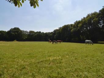Agroturismo Het Secretarishuis