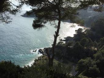 Apartamentos Cgc Cala Llevado