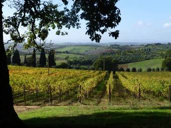 Agroturismo Fattoria Del Colle