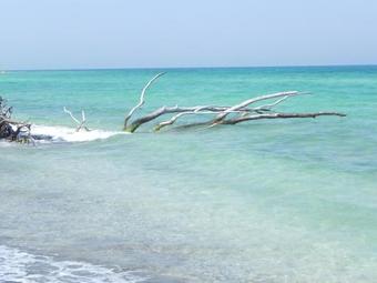 Aparthotel Residence Puntacassano