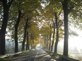 Hotel Locanda San Barnaba