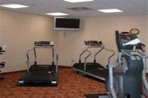 Hotel Hilton Garden Inn Tampa Northwest/oldsmar