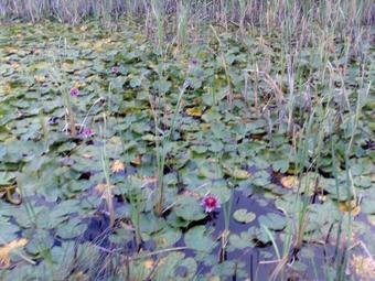 Agroturismo Agriturismo Prato Degli Angeli
