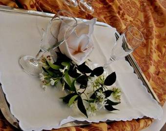 Hermitage Capua Hotel