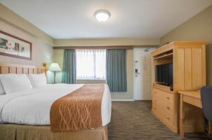 Hotel Comfort Inn & Suites N. Vancouver