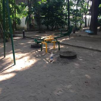 Bed & Breakfast Palm Grove Service Villa