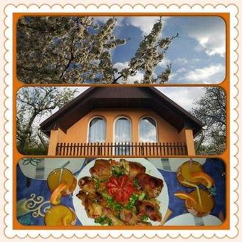 Hostal Bihari Vend�gh�z