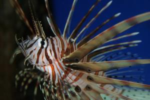 Hotel Hilton Garden Inn Riverhead