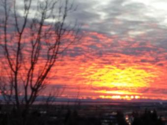 Hostal Iceland's Guesthouse