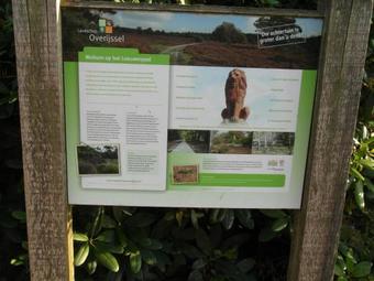 Buitenplaats Berg En Bos IV