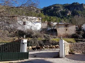 Hostal Sierra Del Agua