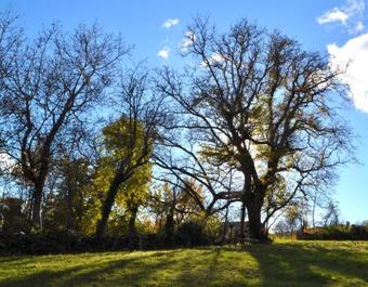 Agroturismo Caba�as El Ruso