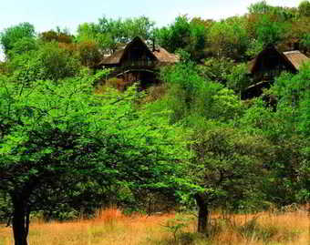 Hotel Tshukudu Bush Lodge