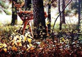 Best Western River City Hotel