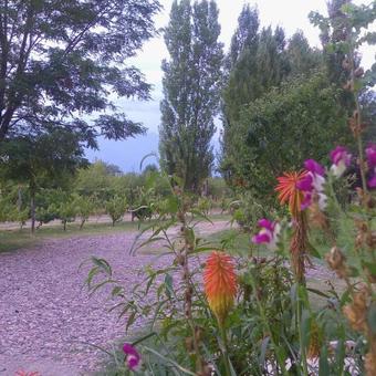 Agroturismo Casa Rural Entre Bodegas Y Vi�edos