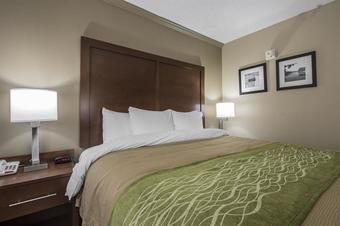 Hotel Hampton Inn Jackson-north