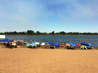 Caba�as A Cuadras Laguna Quill�n