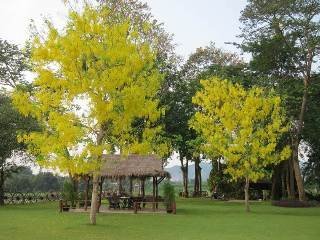 Hotel Felix River Kwai Resort