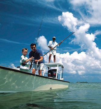 Hotel Doubletree By Hilton Tampa Air