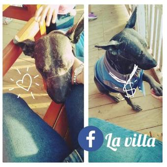 Bed & Breakfast La Villa Hospedaje