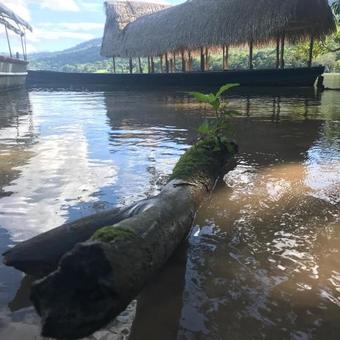 Hostal Ayahuaska