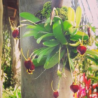 Hostal Villa Maria Lodge