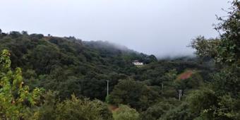 Hotel Roseville